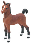 Bay colt 2301.jpg
